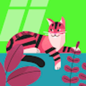 Meet your Posher, Jillian